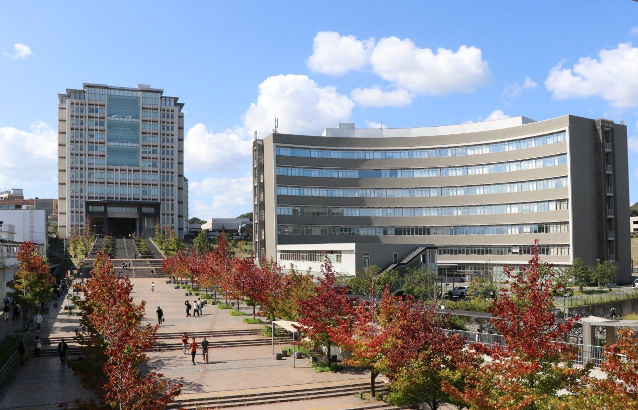 九州大学共創学部画像